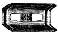 2909-CLP