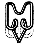 C385-CLP