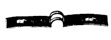 2428-SCR