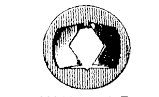 88244-SCR