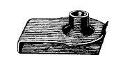 10052-SCR